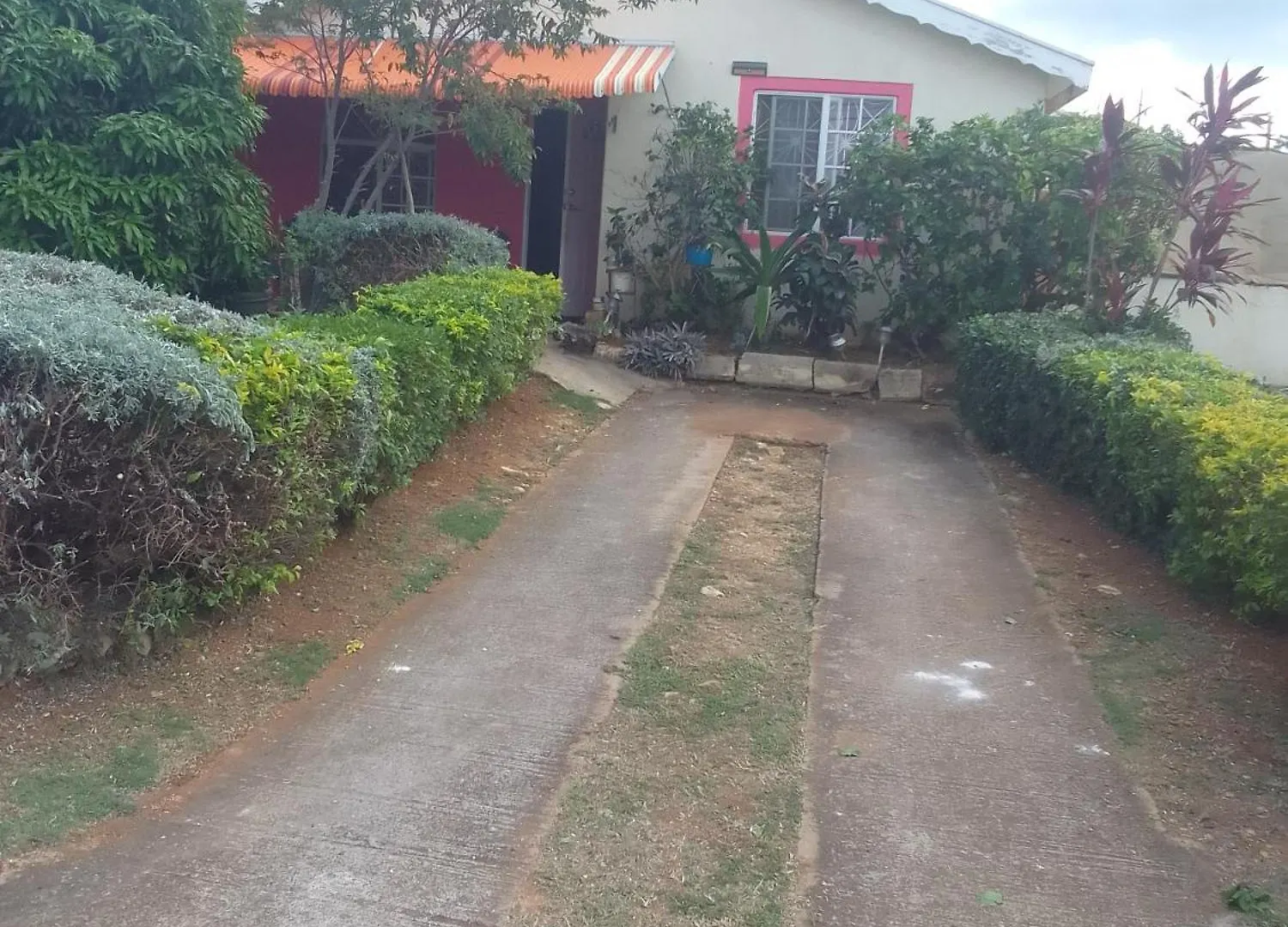 D&P Place Of Tranquility #2 Corral Spring 0*,  Jamaica